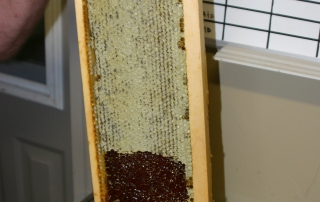 Honey from our own bees